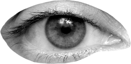 Nahaufnahme eines menschlichen Auges in Schwarz-Weiß mit feinen Wimpern und einer detailreichen Iris.