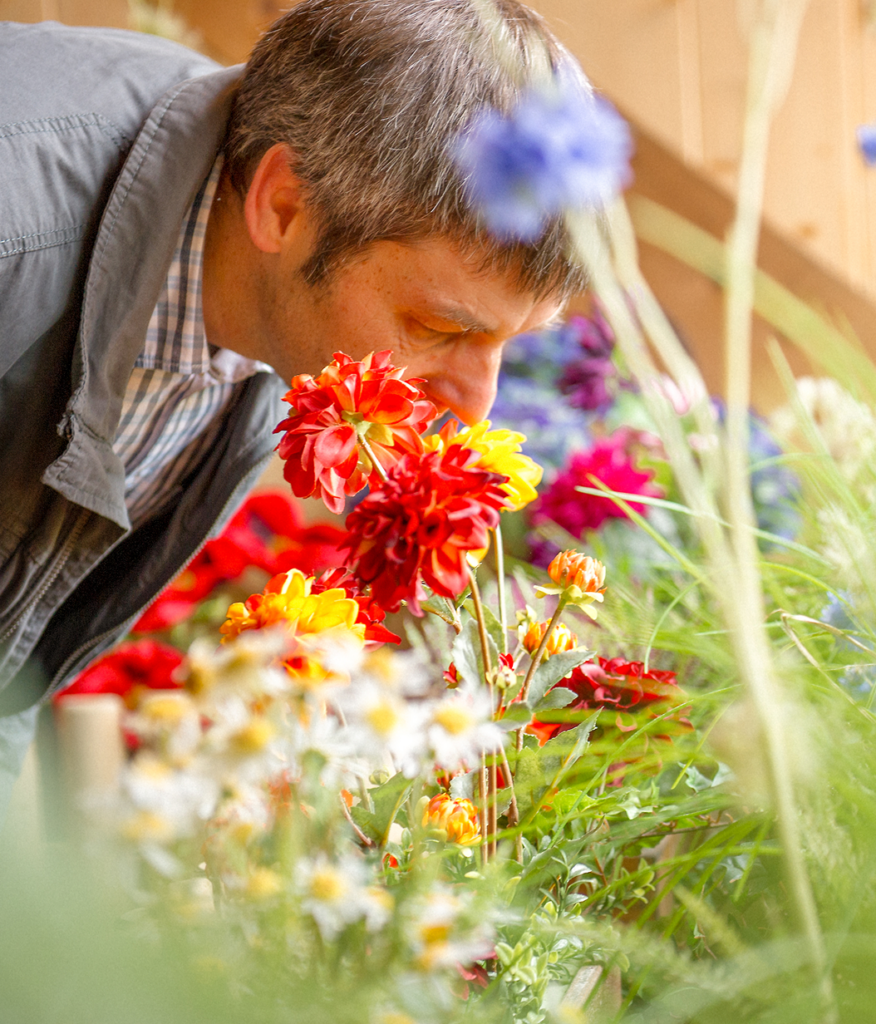 Ein Mann beugt sich über ein Blumenbeet und riecht an bunten Blumen in voller Blüte.