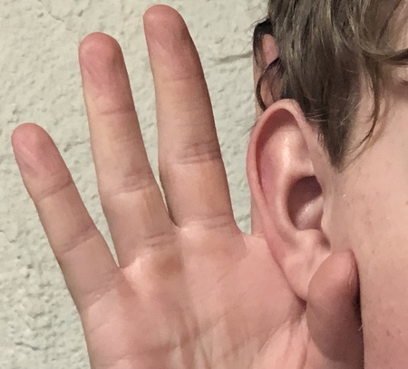 Eine Hand mit gespreizten Fingern ist vor einem Ohr platziert, die Rückseite des Kopfes ist sichtbar.